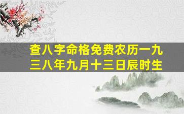 查八字命格免费农历一九三八年九月十三日辰时生