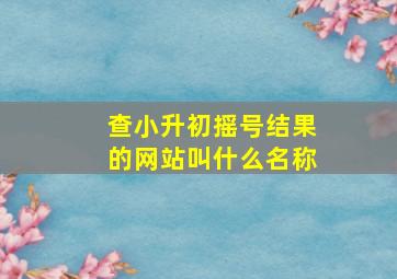 查小升初摇号结果的网站叫什么名称