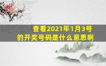 查看2021年1月3号的开奖号码是什么意思啊