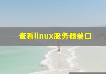 查看linux服务器端口