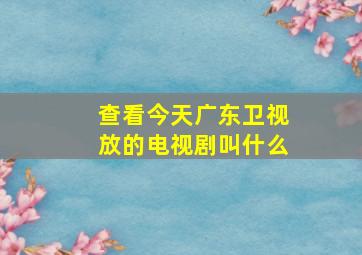 查看今天广东卫视放的电视剧叫什么