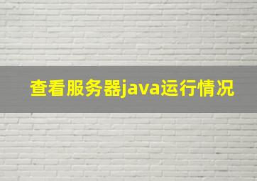 查看服务器java运行情况