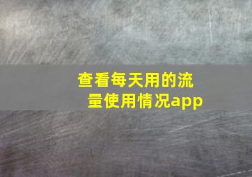 查看每天用的流量使用情况app