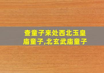 查童子来处西北玉皇庙童子,北玄武庙童子