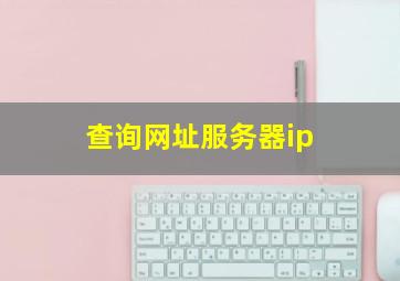 查询网址服务器ip