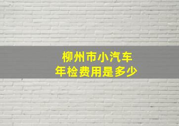 柳州市小汽车年检费用是多少