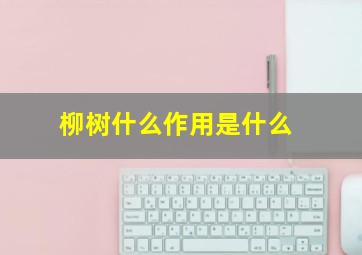 柳树什么作用是什么