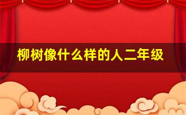 柳树像什么样的人二年级