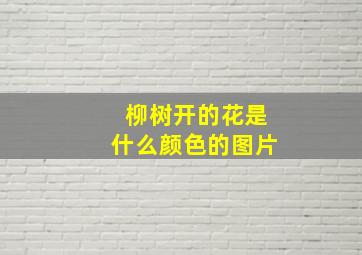 柳树开的花是什么颜色的图片