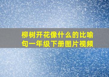 柳树开花像什么的比喻句一年级下册图片视频