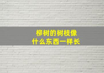 柳树的树枝像什么东西一样长