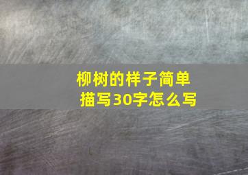 柳树的样子简单描写30字怎么写