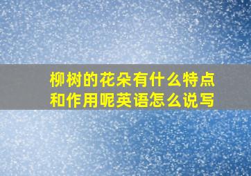 柳树的花朵有什么特点和作用呢英语怎么说写