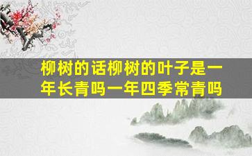 柳树的话柳树的叶子是一年长青吗一年四季常青吗