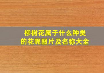 柳树花属于什么种类的花呢图片及名称大全