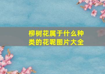 柳树花属于什么种类的花呢图片大全