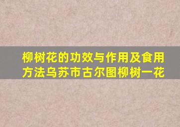 柳树花的功效与作用及食用方法乌苏市古尔图柳树一花