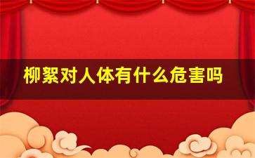 柳絮对人体有什么危害吗