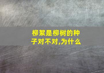 柳絮是柳树的种子对不对,为什么