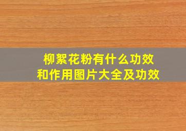 柳絮花粉有什么功效和作用图片大全及功效