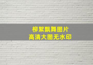 柳絮飘舞图片高清大图无水印