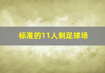 标准的11人制足球场