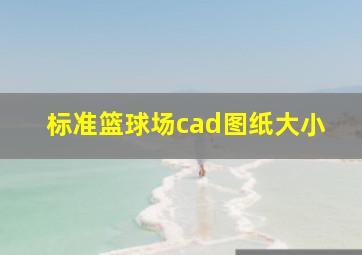 标准篮球场cad图纸大小