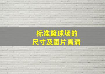 标准篮球场的尺寸及图片高清