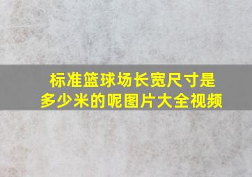 标准篮球场长宽尺寸是多少米的呢图片大全视频