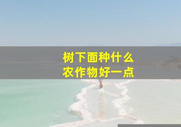 树下面种什么农作物好一点