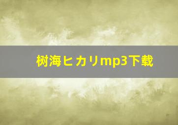 树海ヒカリmp3下载