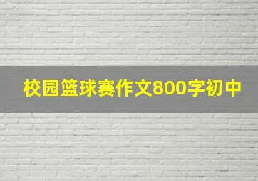 校园篮球赛作文800字初中