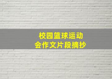 校园篮球运动会作文片段摘抄