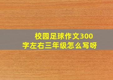 校园足球作文300字左右三年级怎么写呀