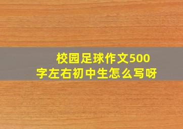 校园足球作文500字左右初中生怎么写呀