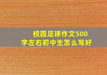 校园足球作文500字左右初中生怎么写好