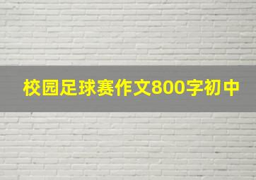 校园足球赛作文800字初中