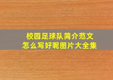 校园足球队简介范文怎么写好呢图片大全集