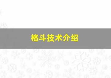 格斗技术介绍