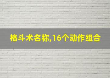 格斗术名称,16个动作组合