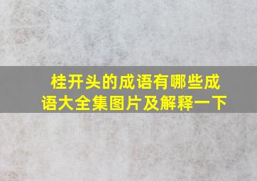 桂开头的成语有哪些成语大全集图片及解释一下