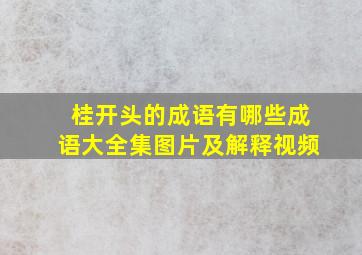 桂开头的成语有哪些成语大全集图片及解释视频