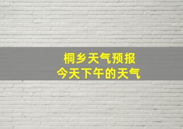 桐乡天气预报今天下午的天气