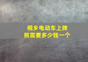 桐乡电动车上牌照需要多少钱一个