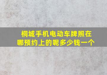 桐城手机电动车牌照在哪预约上的呢多少钱一个