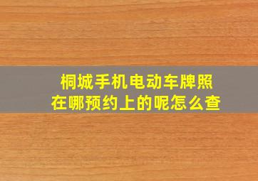 桐城手机电动车牌照在哪预约上的呢怎么查