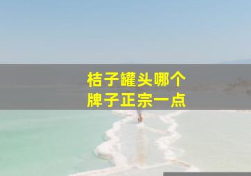 桔子罐头哪个牌子正宗一点