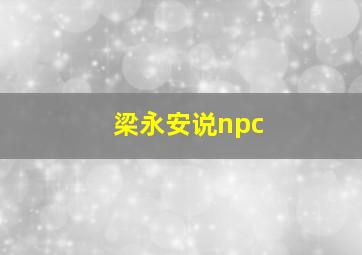 梁永安说npc