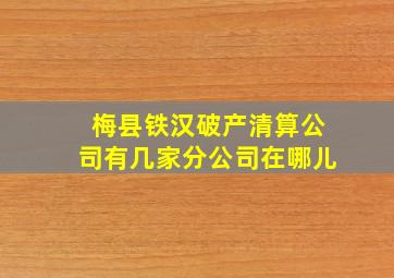 梅县铁汉破产清算公司有几家分公司在哪儿