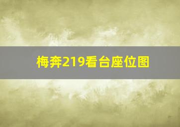 梅奔219看台座位图